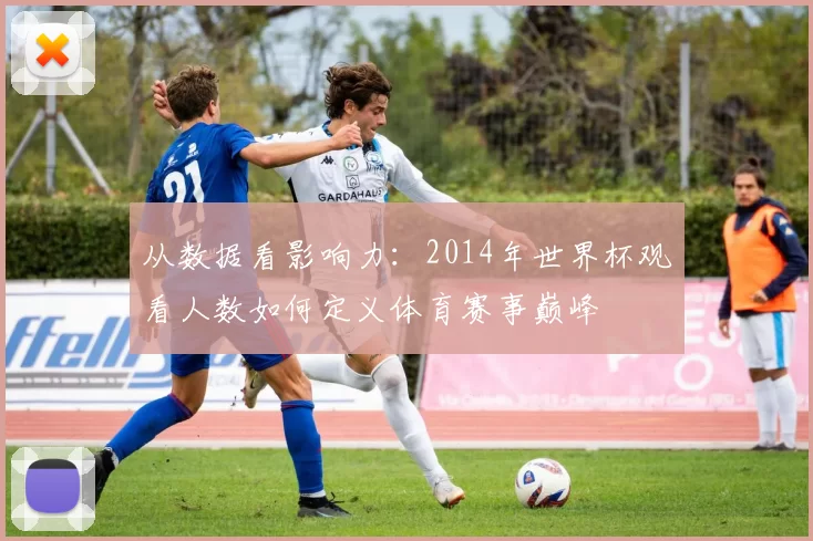 从数据看影响力：2014年世界杯观看人数如何定义体育赛事巅峰