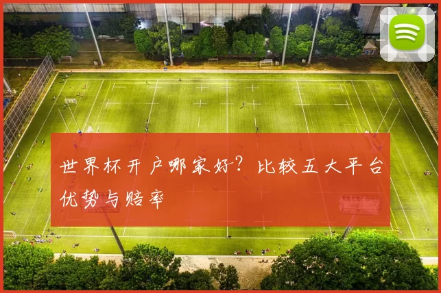 世界杯开户哪家好？比较五大平台优势与赔率