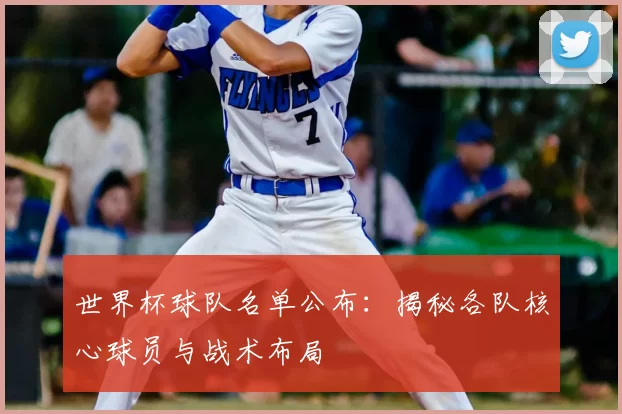 世界杯球队名单公布:揭秘各队核心球员与战术布局