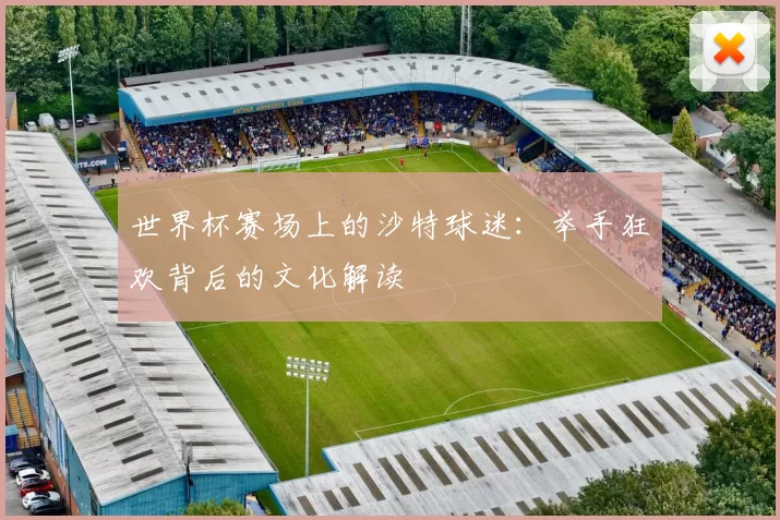 世界杯赛场上的沙特球迷：举手狂欢背后的文化解读
