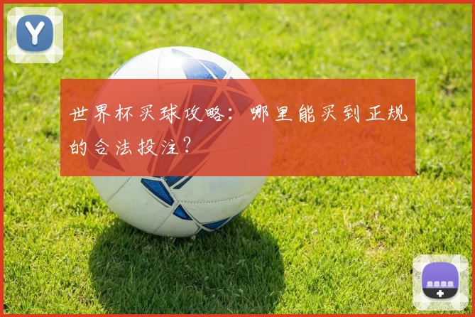 世界杯买球攻略:哪里能买到正规的合法投注?
