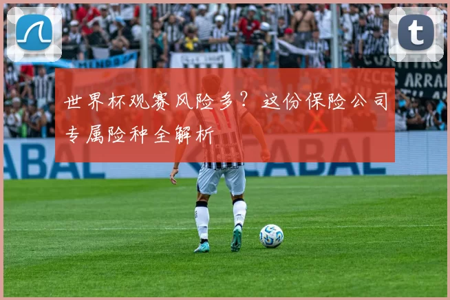 世界杯观赛风险多？这份保险公司专属险种全解析