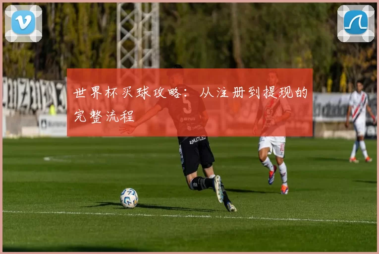 世界杯买球攻略:从注册到提现的完整流程