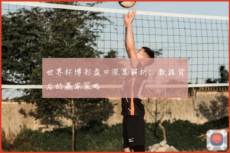 世界杯博彩盘口深度解析:数据背后的赢家策略