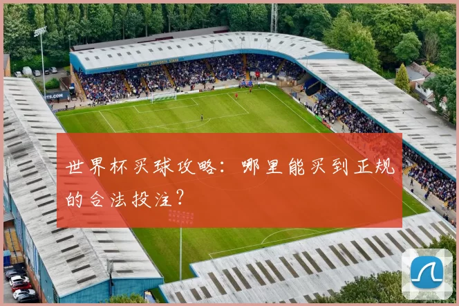世界杯买球攻略：哪里能买到正规的合法投注？