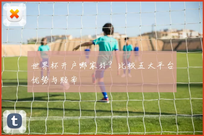 世界杯开户哪家好？比较五大平台优势与赔率